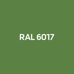 RAL 6017 Vert mai