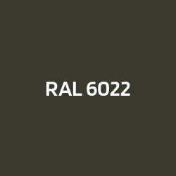 RAL 6022 Olive brun