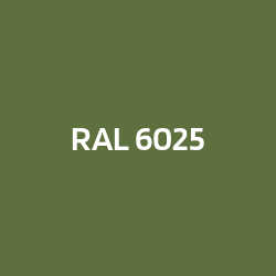 RAL 6025 Vert fougère