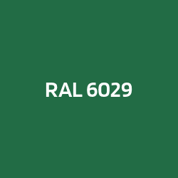 RAL 6029 Vert menthe